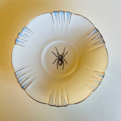 Spider - Insect Series | Platefuls