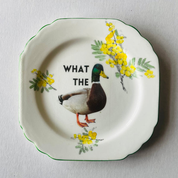What the duck | Platefuls