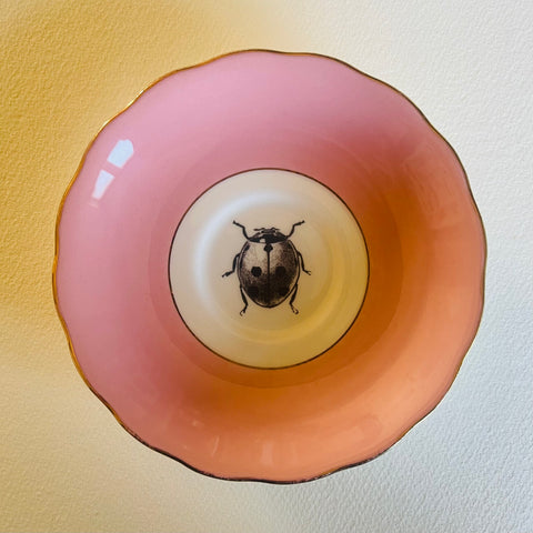 Lady Bird  - Insect Series | Platefuls