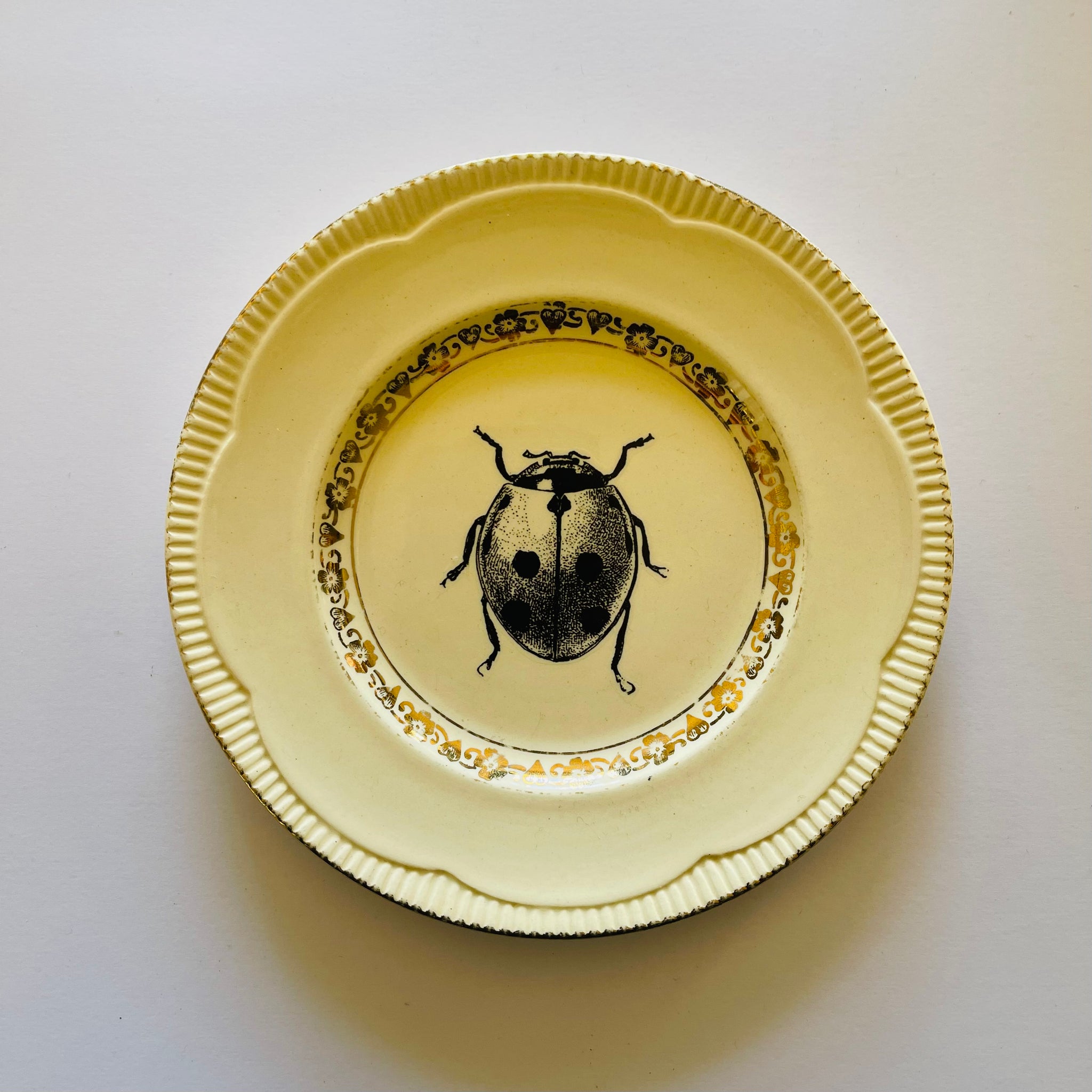 Insects | Platefuls