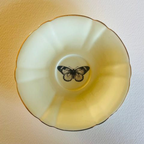 Butterfly - Insect Series | Platefuls