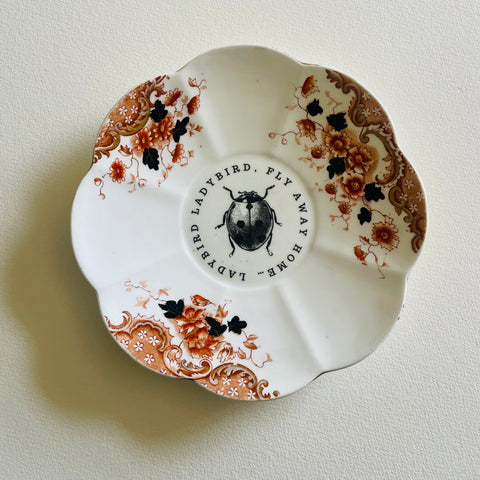 Lady bird lady bird on moody floral