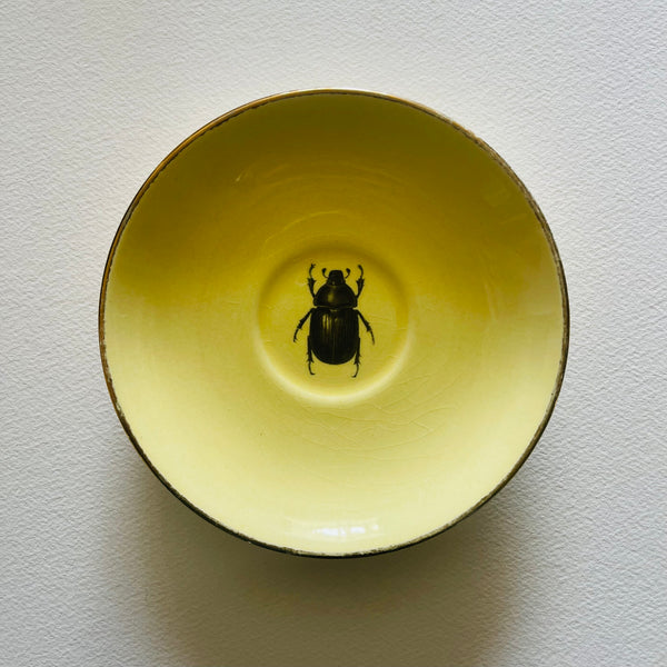 Insects | Platefuls