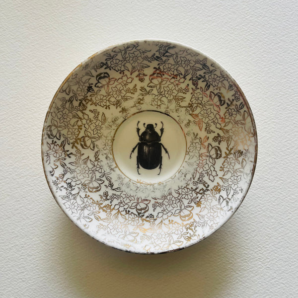 Insects | Platefuls
