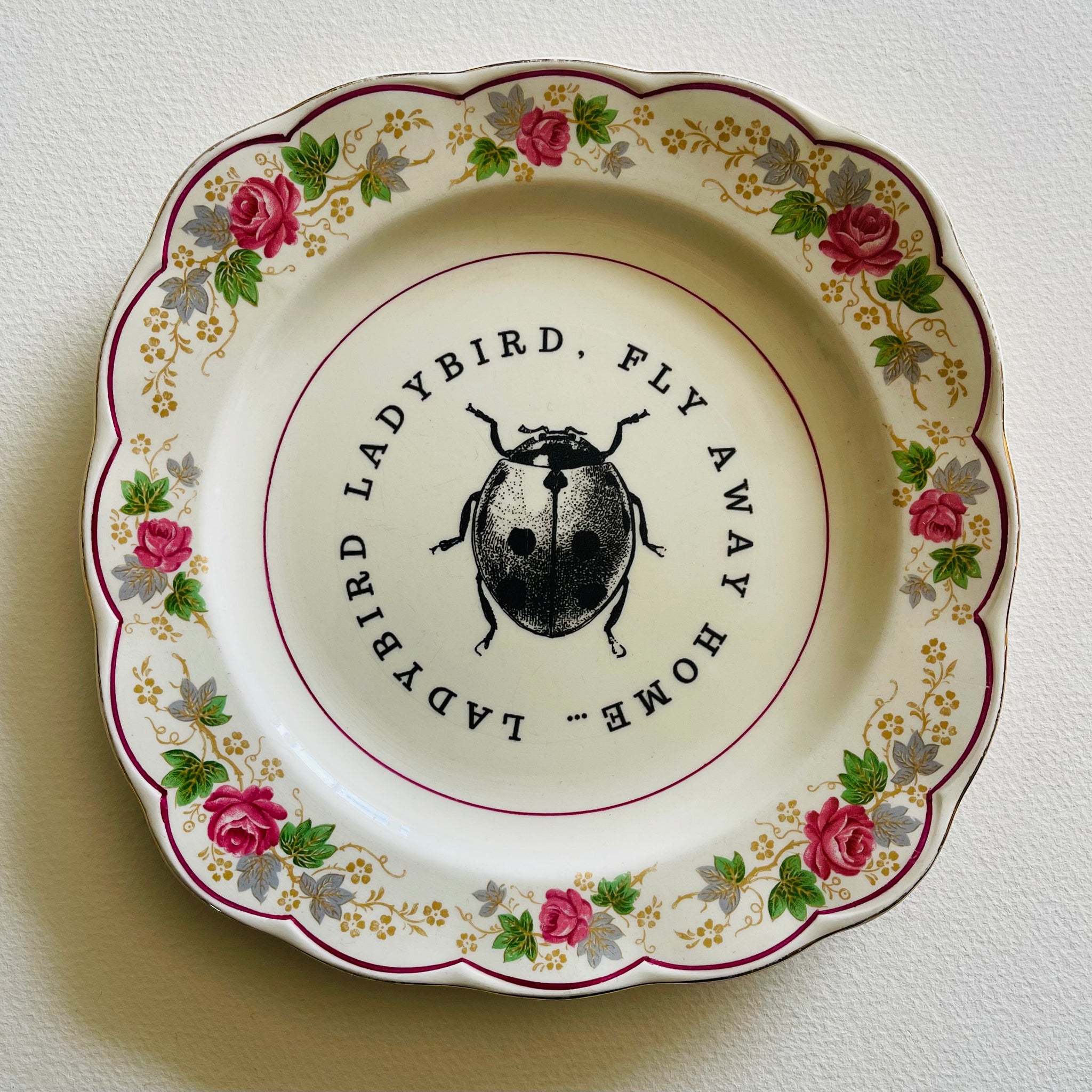 Lady bird lady bird on floral Roses