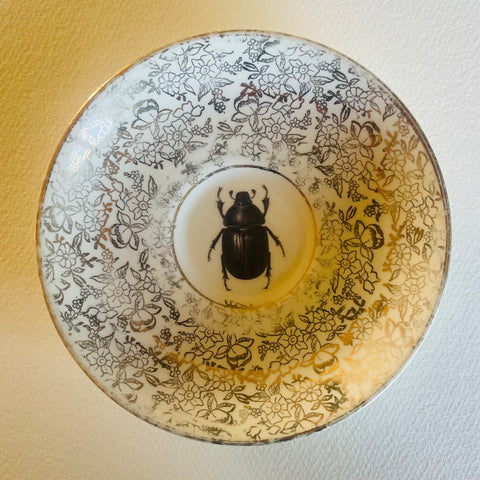 Beetle - Insect Series | Platefuls