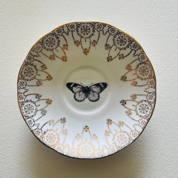 Insects | Platefuls