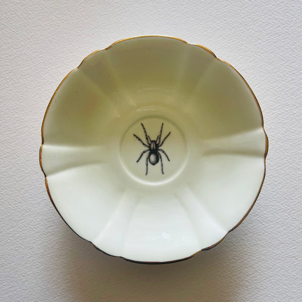 Insects | Platefuls