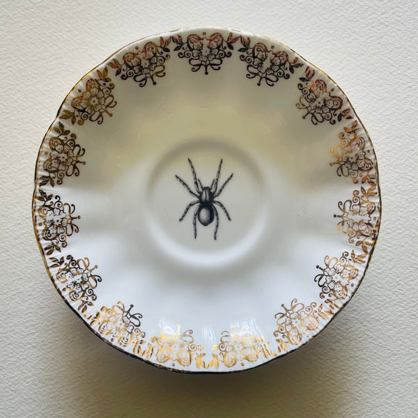 Insects | Platefuls