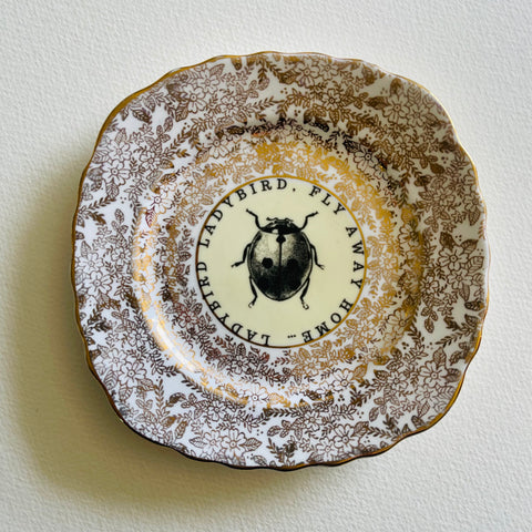 Lady bird ladybird | Platefuls