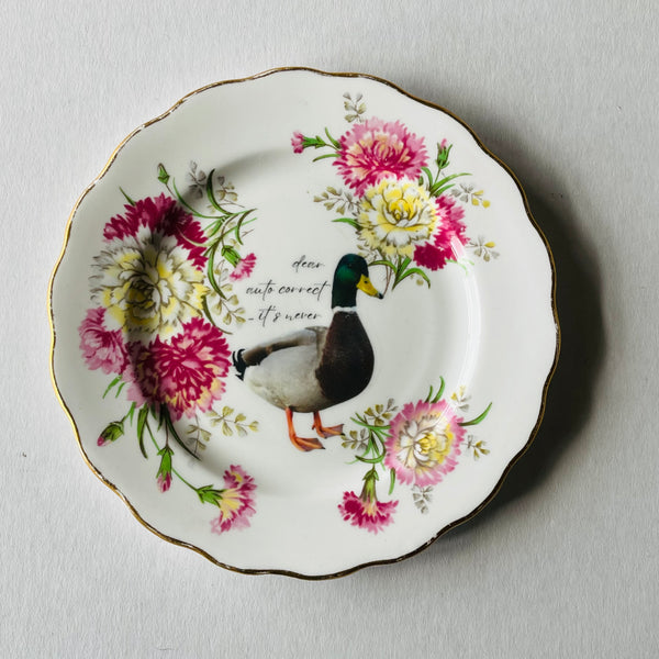 ON SALE | A variety of Humour | Platefuls