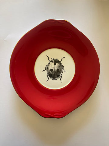 Bug on Burgundy