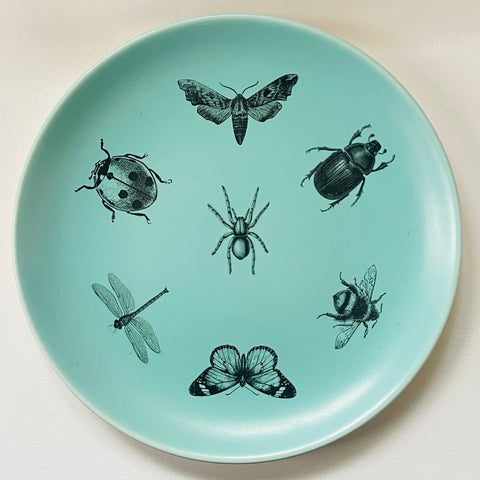 A collection of Insects on Poole