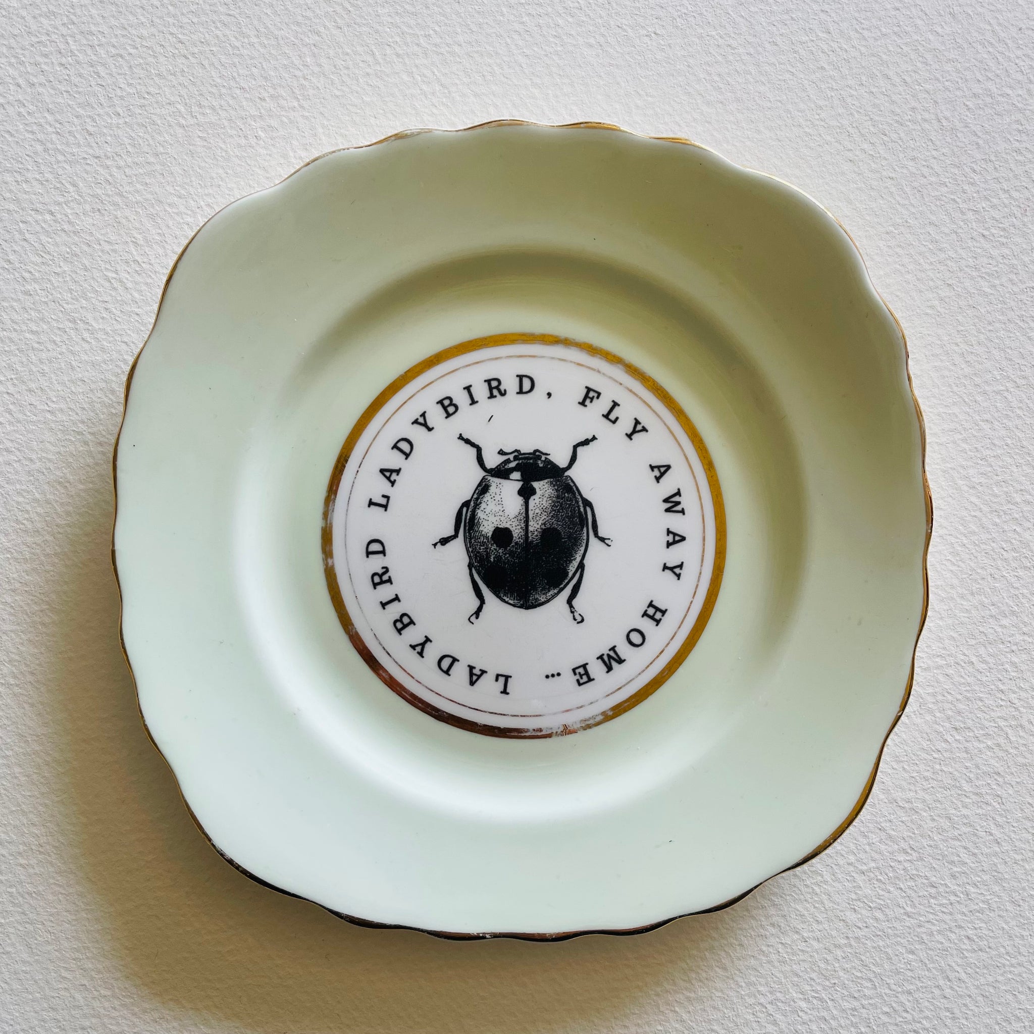 Lady bird ladybird | Platefuls