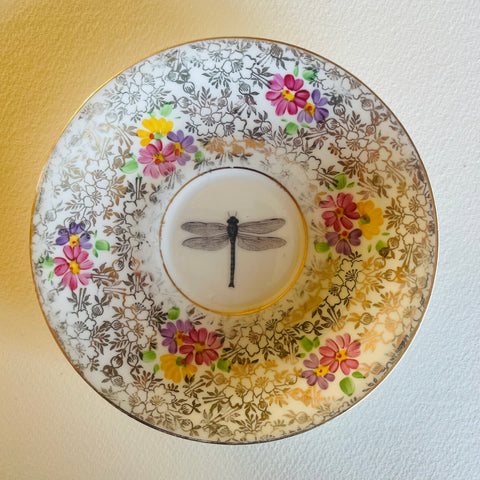 Dragon Fly  - Insect Series | Platefuls