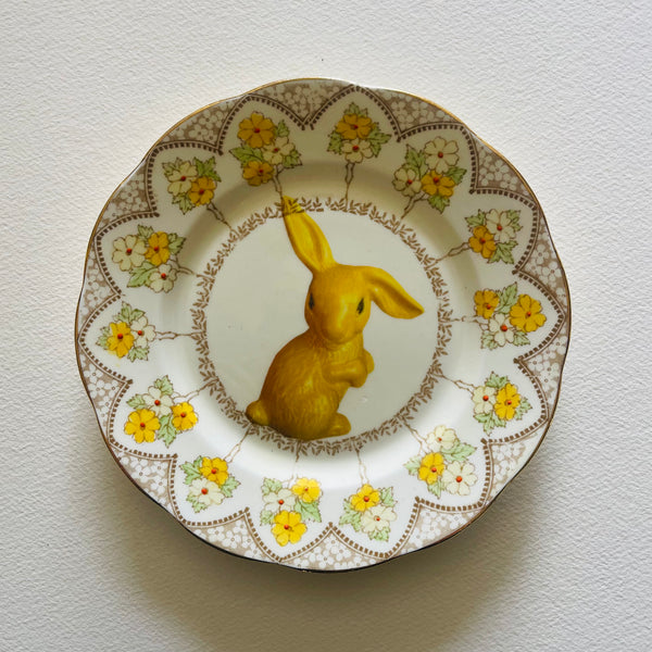 Bunny | Platefuls