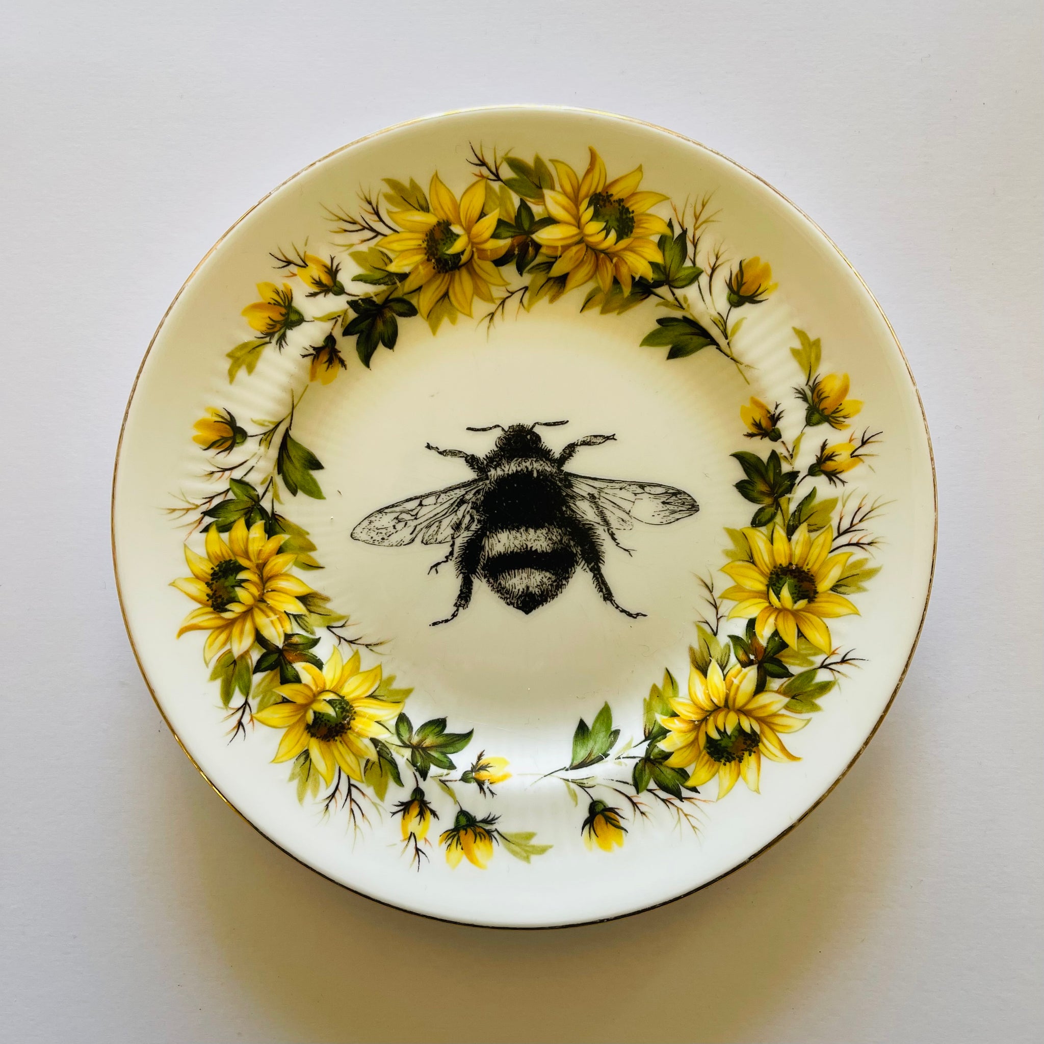 Insects | Platefuls
