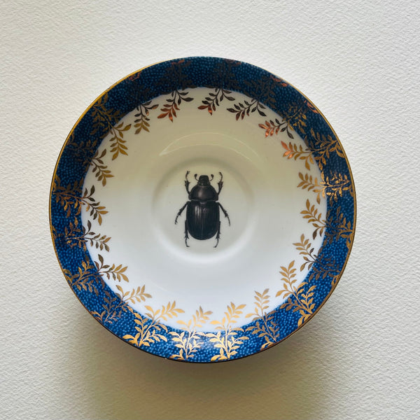 Insects | Platefuls