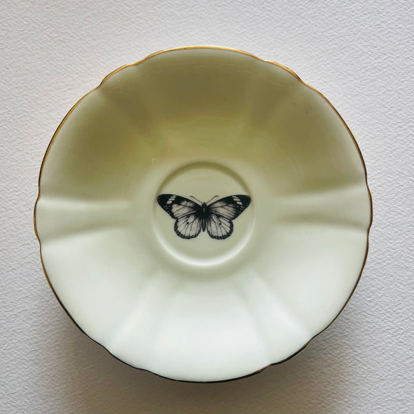 Insects | Platefuls